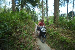 BIB: 
                            <button type="button" onclick="openModal(21744921)" class="btn btn-primary btn-sm float-right btn-popup" data-toggle="modal" data-target=".modal-high-quality">
                        <i class="fas fa-shopping-cart"></i> Add to Cart
                    </button>
                                            <button type="button" onclick="isThisMe(21744921, true)" class="btn btn-success btn-sm float-right btn-popup btn-isme hidden" data-toggle="tooltip" data-placement="bottom" title="นี่คือรูปของคุณใช่ไหม คลิกที่นี่เพื่อเอาเข้าอัลบั้ม">
                        <i class="fas fa-plus"></i> Add to album
                    </button>
                    <button type="button" onclick="isThisMe(21744921, false)" class="btn btn-warning btn-sm float-right btn-popup btn-isnotme hidden">
                        <i class="fas fa-ban"></i> Remove from album
                    </button>